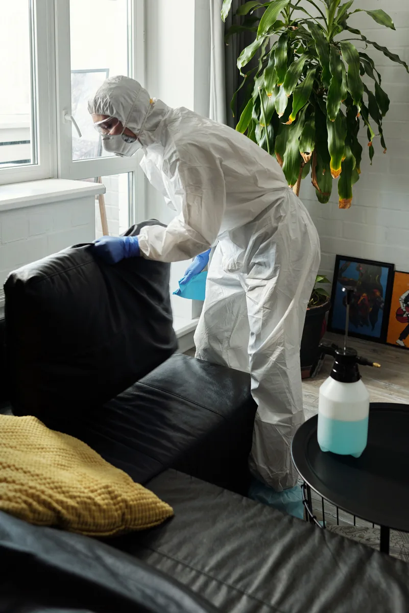Upholstery cleaning service